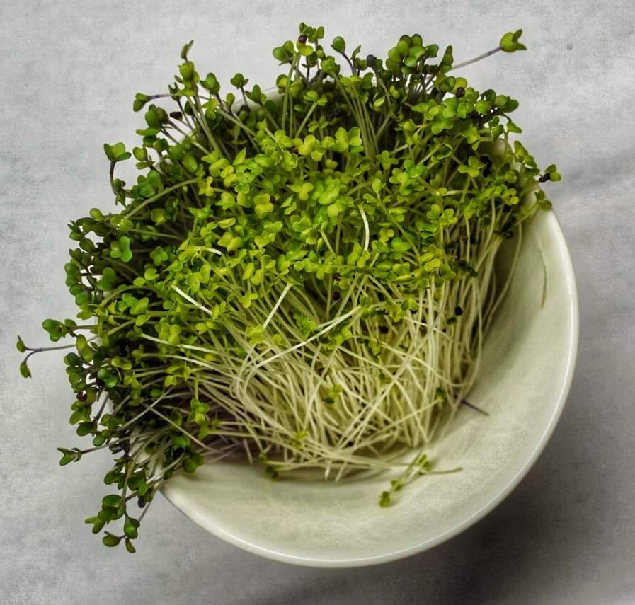 Picture of a bowl of Microgreens